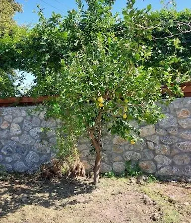 Villa Lavinya *