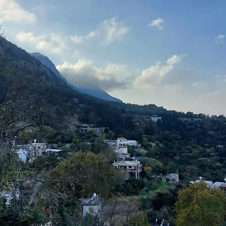 Lavinya *